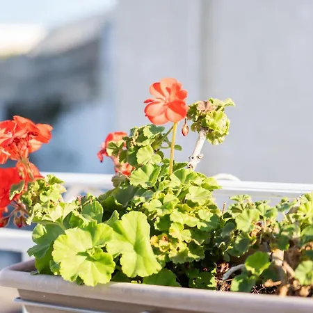 Casa La Calce Διαμέρισμα