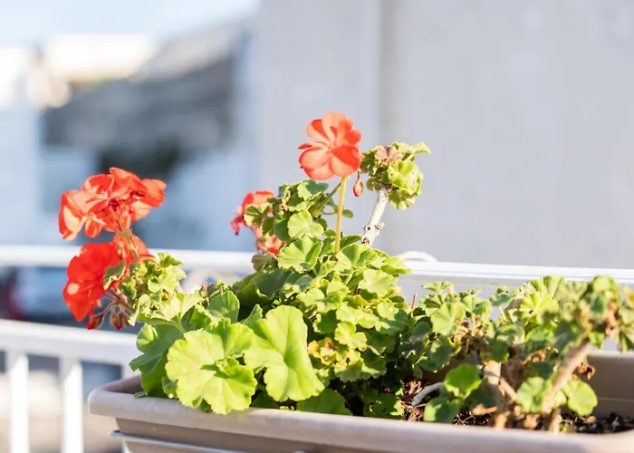 Casa La Calce Appartamento